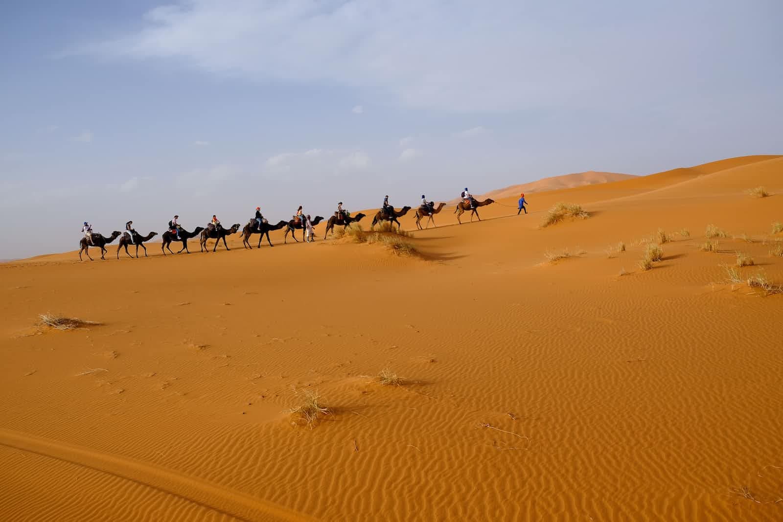 Expectations for an Engineering Manager